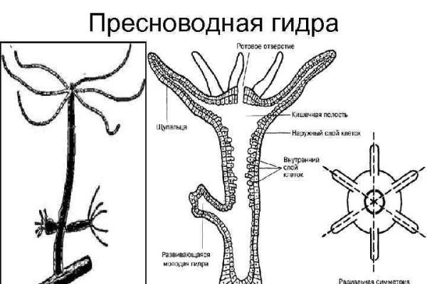 Кракен вход