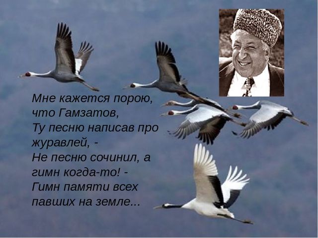 Кракен зеркало впн