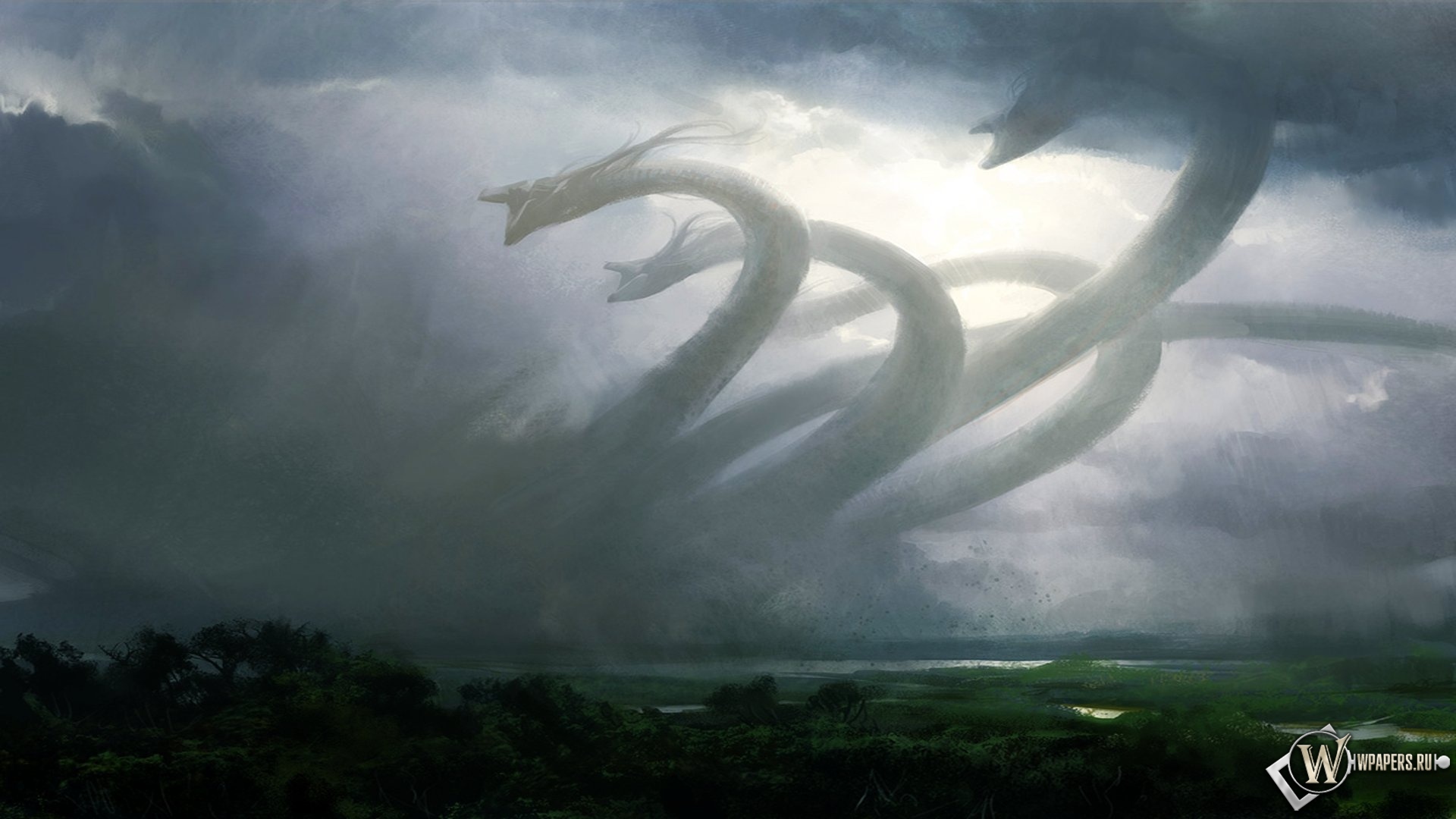 Kraken cc